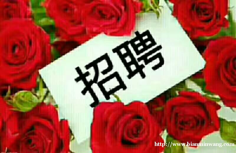 ֣ݽ·ƸʦӪҵԱ