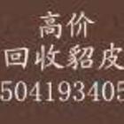 Ƥµ绰150.4193.4053