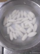 Ϳ