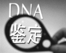 ޴ǰDNA΢