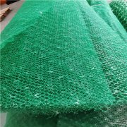 黑色绿色三维植被网批发绿化固土护坡三维网