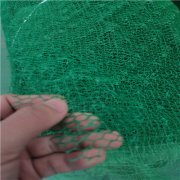 黑色绿色三维植被网批发绿化固土护坡三维网