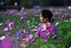 阳光明媚春游踏青好季节大鹏美丽乡村赏樱花品美食