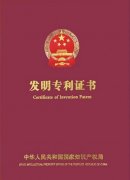 知识产权  专利