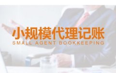 广州代理记账专业记账报税公司