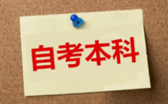 在职人群提升学历