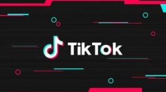 TikTokⶶ˾