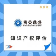 昆明市专利价值评估软著增资评估知识产权评估