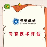 成都市新都区技术评估无形资产评估入账税收个人软著评估
