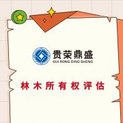 成都市新都区技术评估无形资产评估入账税收个人软著评估