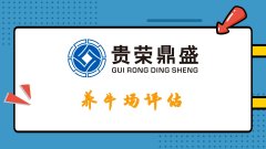 ɶдسǨţǨ