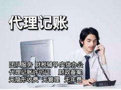 上海浦东新区注册公司提供代理记账服务小规模多少钱一月